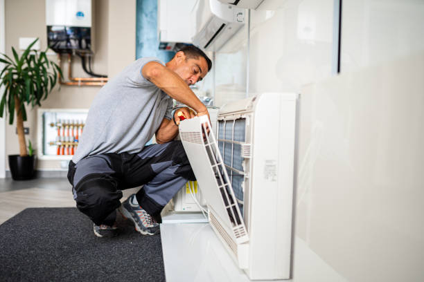 Best Home Air Vent Cleaning  in Andrews, IN